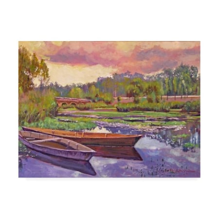 David Lloyd Glover 'Boats Among The Lilies' Canvas Art,18x24